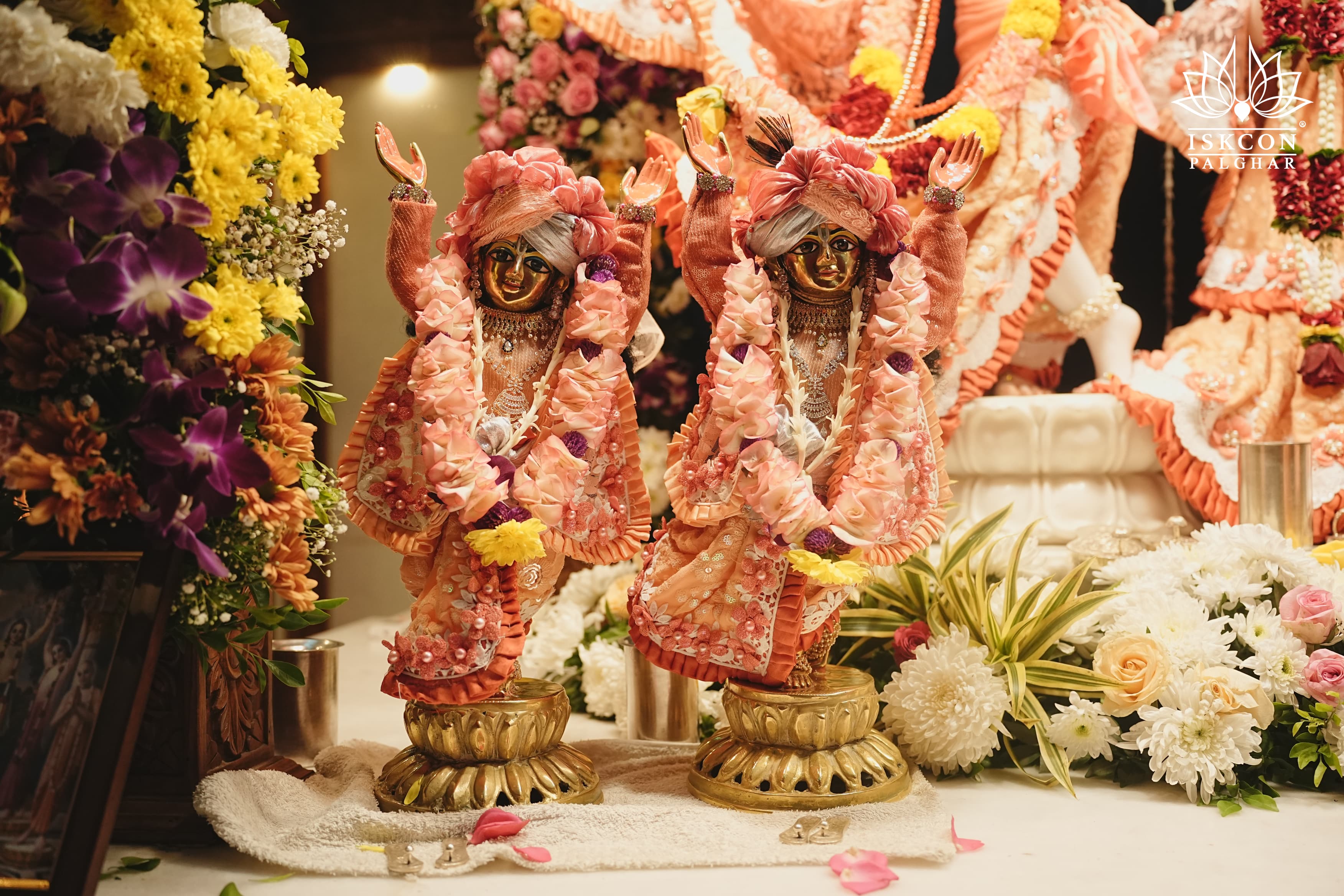 Darshan 12